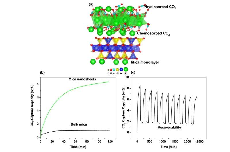 Sustainable Carbon Capture: Novel 2D Nanosheets Developed by Scientists