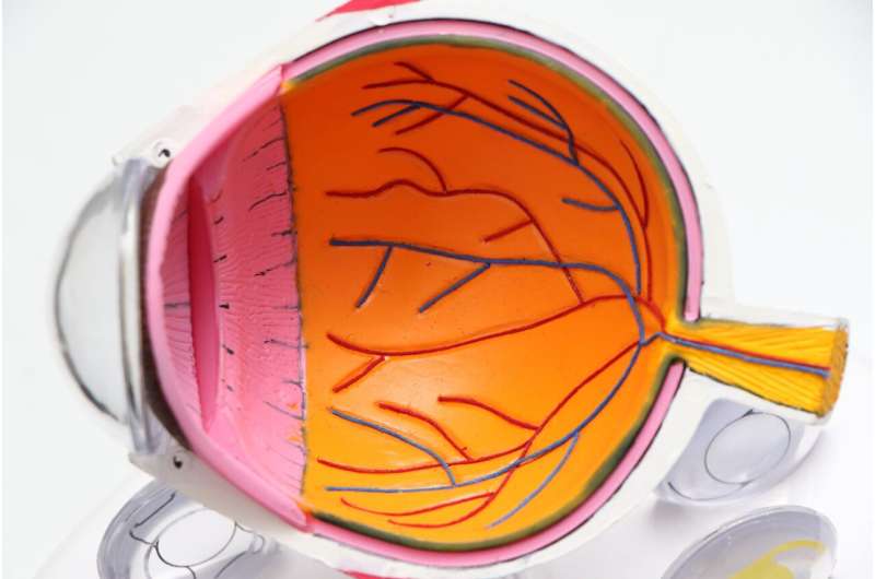 Biodegradable Nanoprobe Detects Early Diabetic Retinopathy