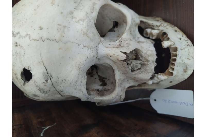 Ancient DNA Identifies 18 WWII Executed Civilians in Adele, Crete