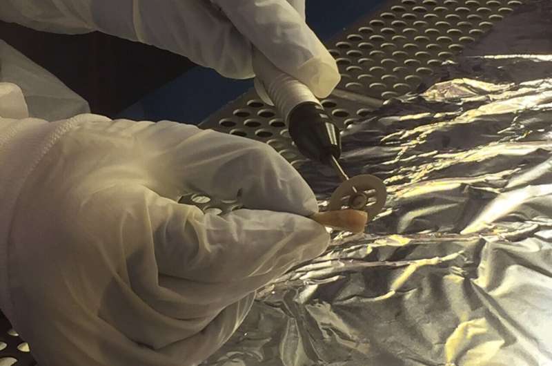 Ancient DNA Identifies 18 WWII Executed Civilians in Adele, Crete