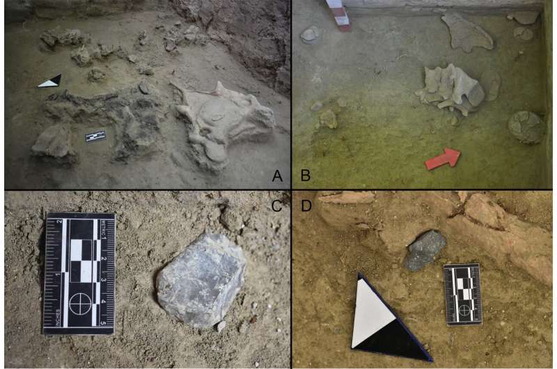 12,000-Year-Old Elephant Hunting Evidence Discovered at Tagua Tagua Lake, Chile