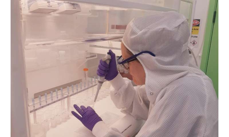 Ancient Horse Sacrifices Reveal Extensive Pagan-Christian Trade Networks in Europe