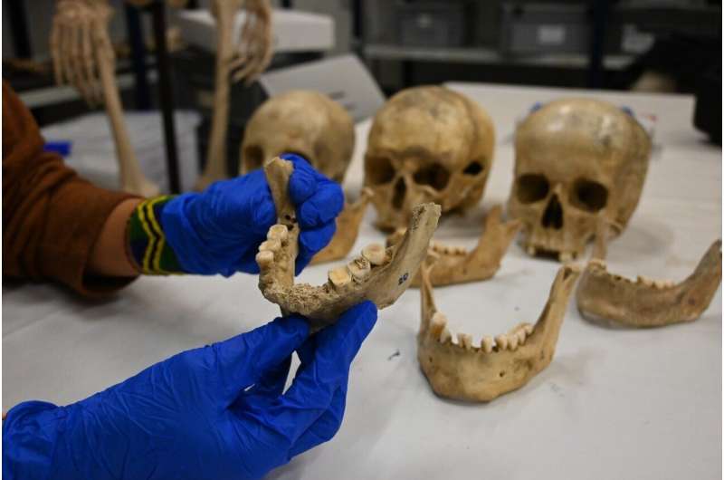 Dietary Habits of Northeast Iberian Agropastoral Communities Uncovered in New Study