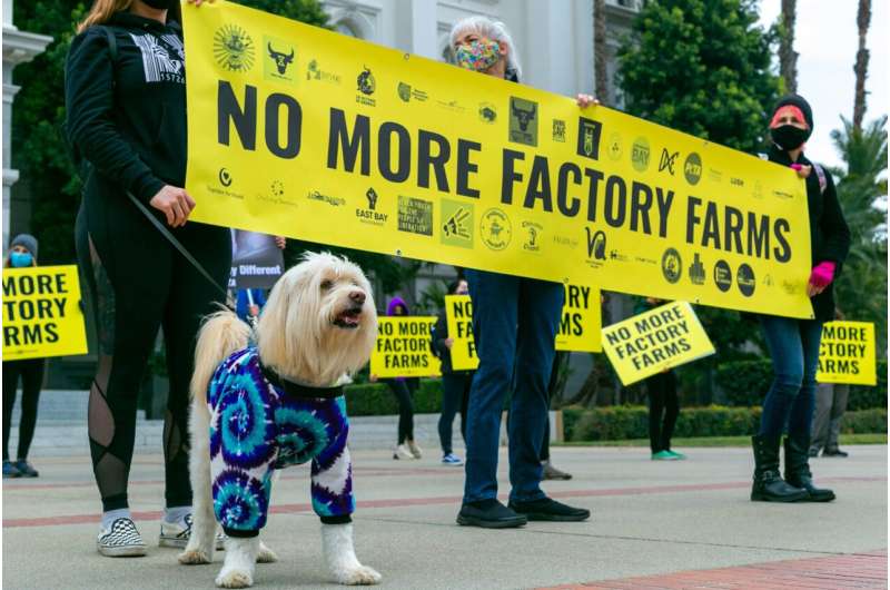 Media s Role in Depoliticizing Animal Rights Activism: A New Study