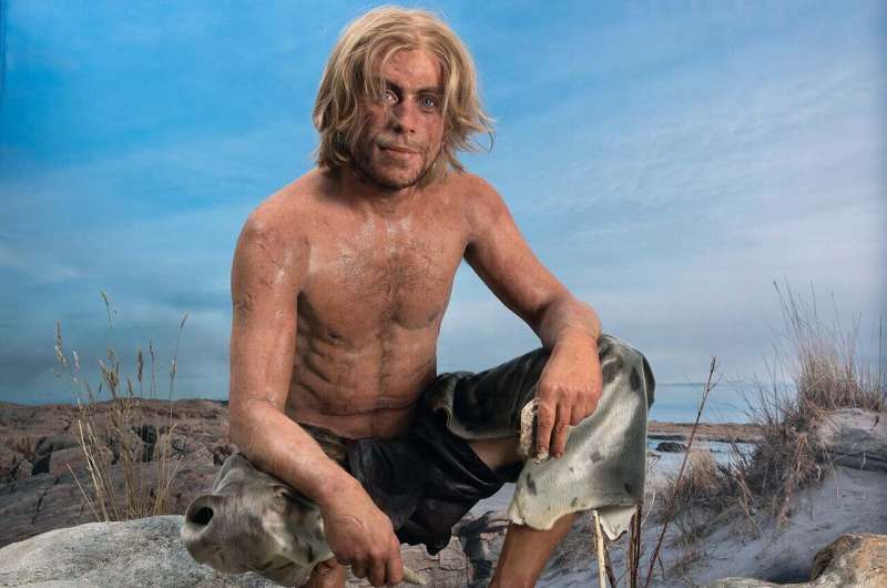 Reconstructed Appearance of the Ancient Hitra Man – NTNU University Museum
