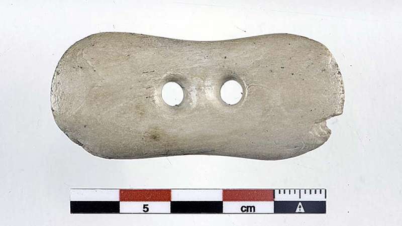 Reconstructed Appearance of the Ancient Hitra Man – NTNU University Museum