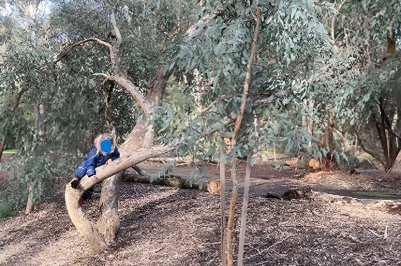 The Science of Risky Play: How Outdoor Adventures Enhance Early Learning