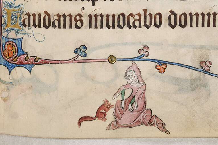 Medieval Leprosy Transmission: Red Squirrels as a Host in England