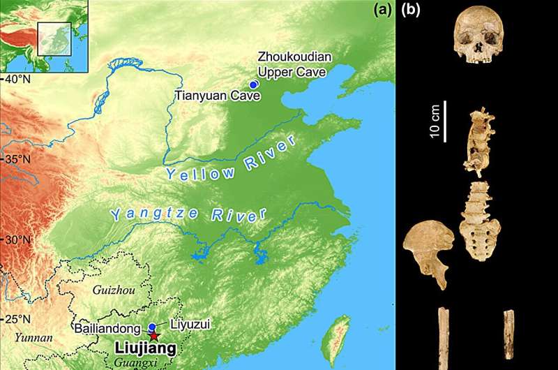 New Dating of Liujiang Skeleton Reveals Insights into Early Human History in China