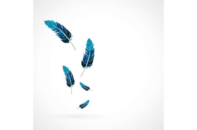 Feathers & Colonial Amazonia: Art, Cognition & Global Trade