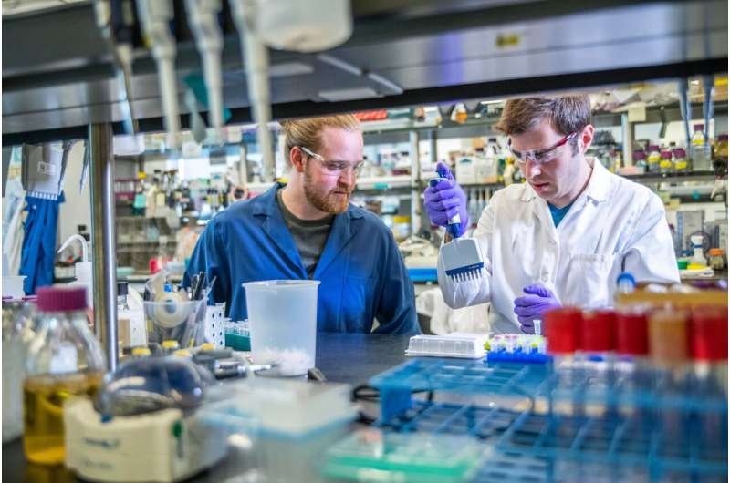 Teamwork vs. Individual Genius: Driving Scientific Discovery