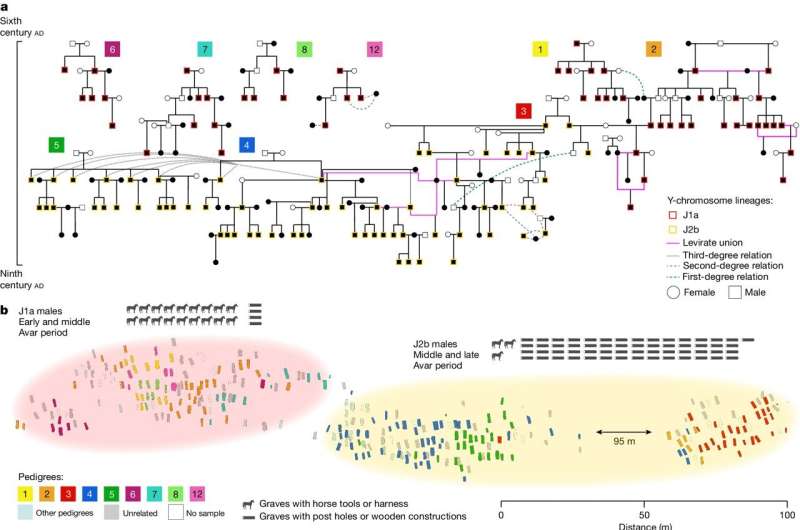 Ancient Avar Society Unveiled: DNA Reveals Family Networks and Social Structures