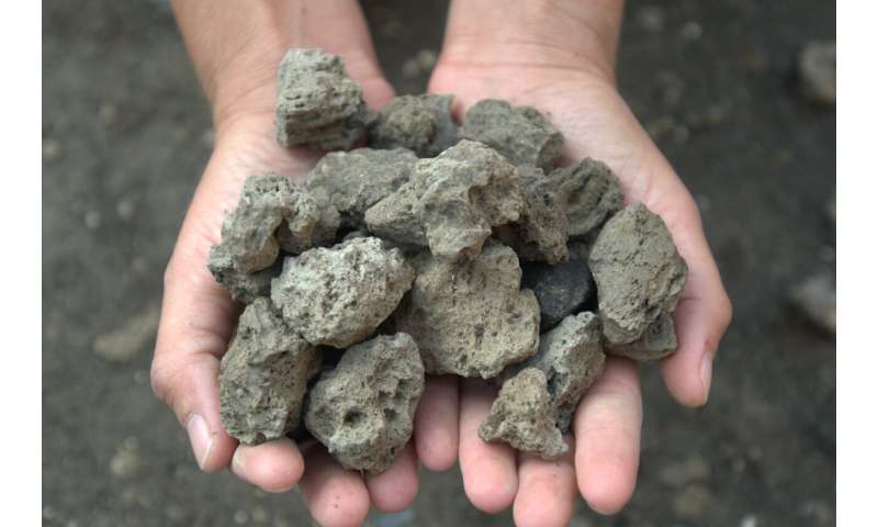 Roman Villa Discovery: Could This Be the Home of the First Emperor?