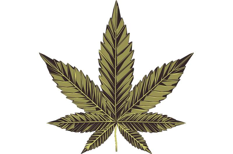 Challenging Stereotypes: New Research on the Impact of Cannabis Use