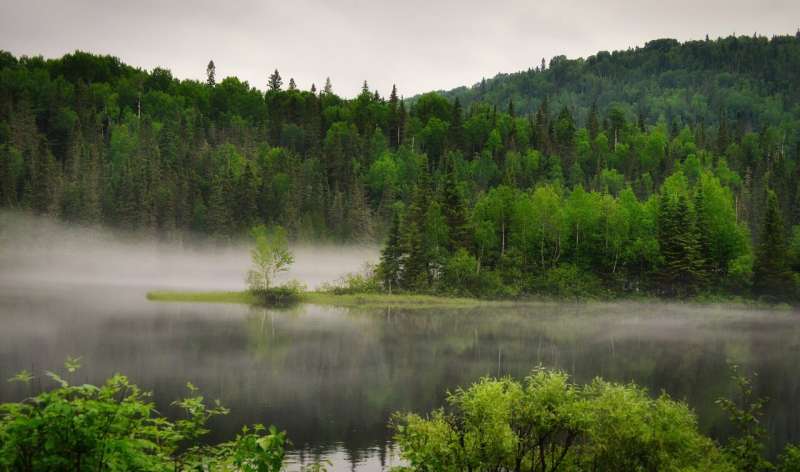 Global Economic Risks of Ecosystem Collapse: A Critical Report