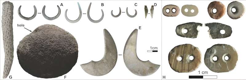 Ancient Adaptation: How Alor People Survived 43,000 Years Ago