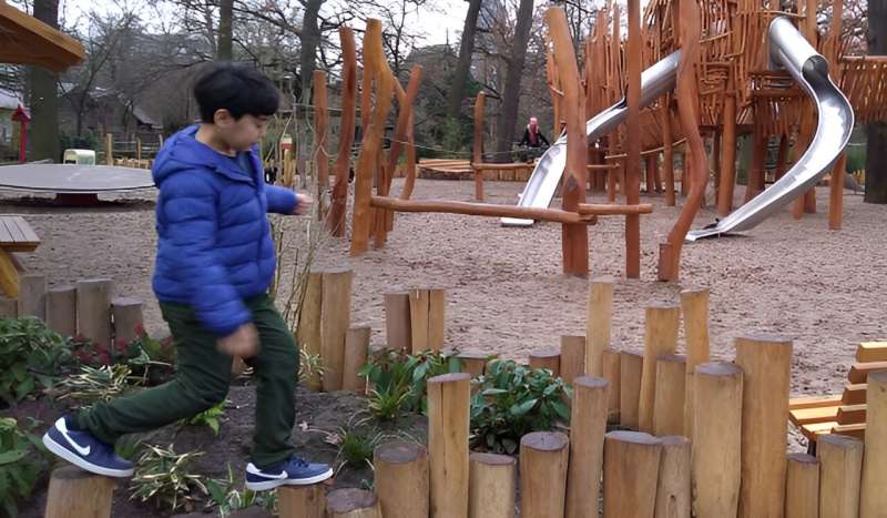 Japanese Philosophy of Nature Shapes Early Childhood Education