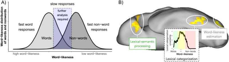 How Brain Training Improves Reading Efficiency | npj Science of Learning