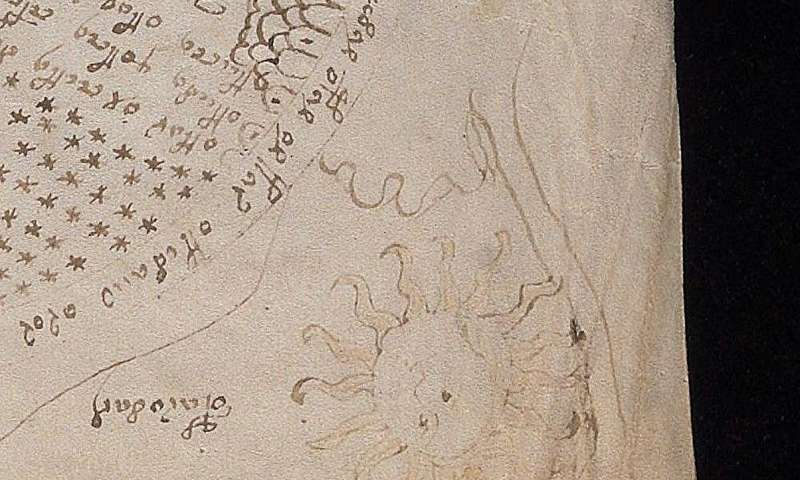 Voynich Manuscript Deciphered? New Research Suggests Possible Connection to Sexuality