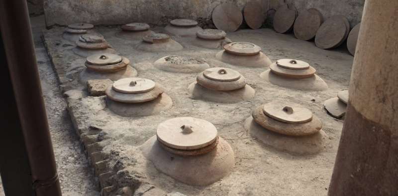 Rediscovering Roman Wine: New Research Reveals Unexpected Flavors