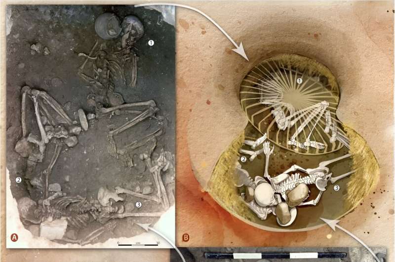 Stone Age Human Sacrifice: New Evidence of Ritualistic Practices Across Europe