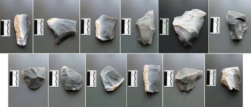 New Research: Clovis Points May Have Been Used for Butchering Animals