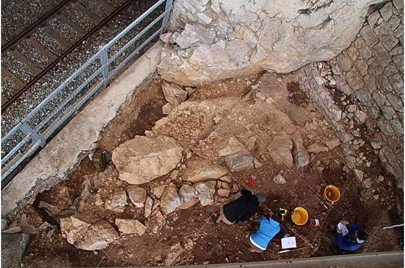 Neanderthal and Early Human Living Spaces: Similarities Revealed by Archaeological Study