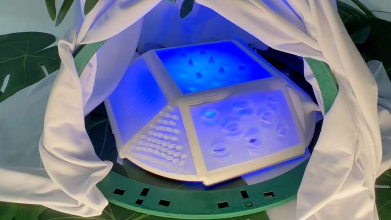 Touchibo: Inclusive Robot for Education & Accessibility