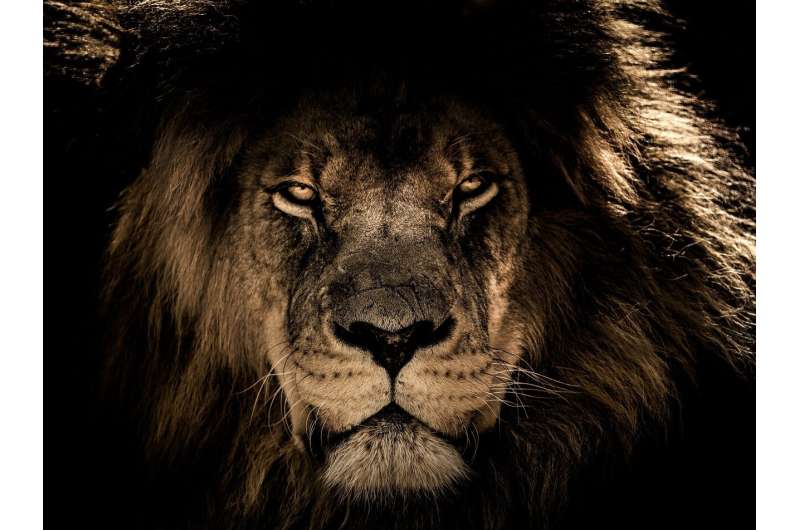 Kenya s Wildlife Conservancies: Economic Gains & Social Disparities