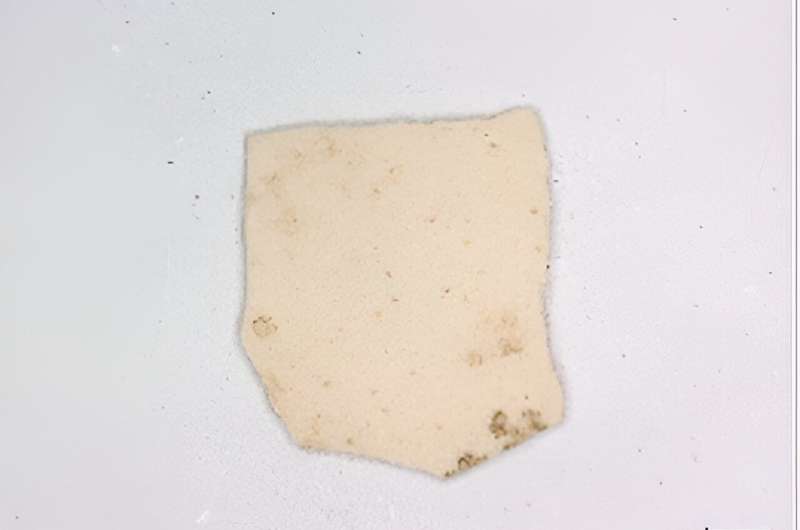 Ancient Chickens: New Research Reveals 2000-Year History on the Silk Road