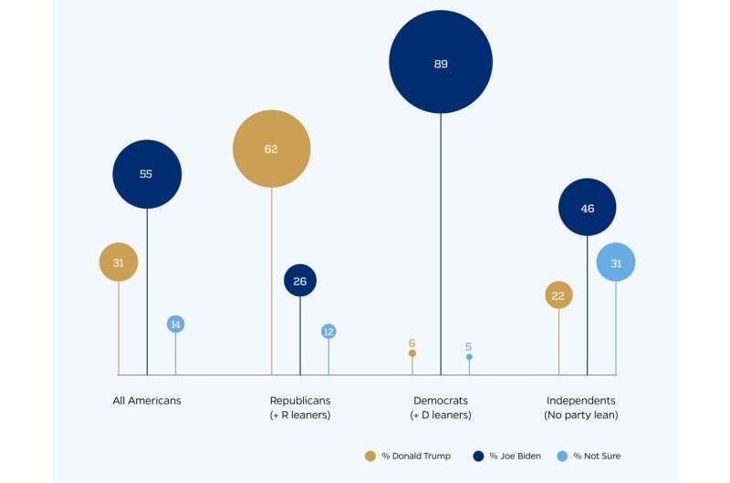 Understanding Pro-Democracy Conservatives: A Deep Dive into Election Trust
