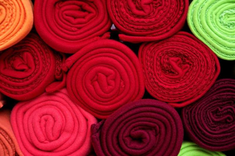 The Unexpected Origins of Red: From Spanish Conquistadors to a Tiny Insect