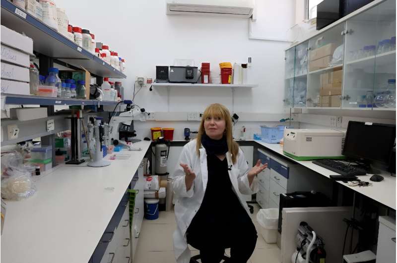 Israel s War Budget Impacts Scientific Research: Scientists Face Funding Cuts