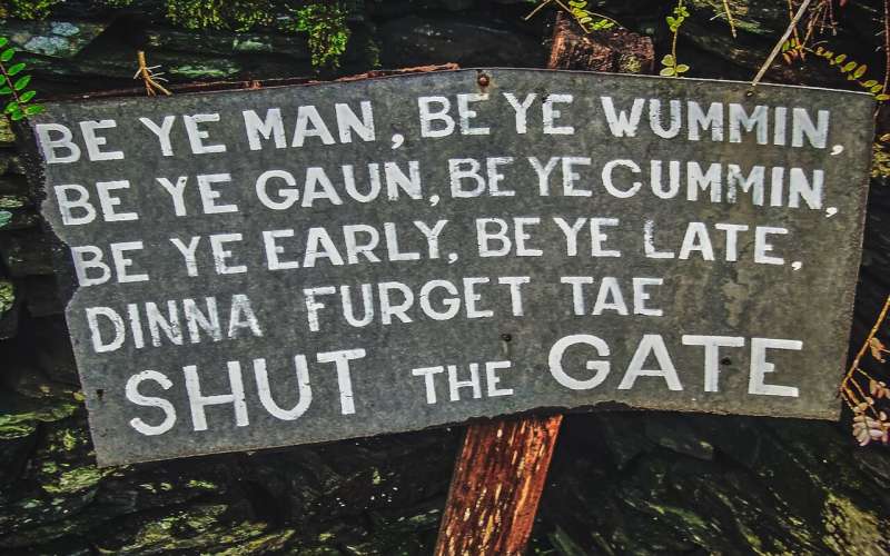 Promoting Linguistic Diversity in Scientific Research: The Case for Spanish