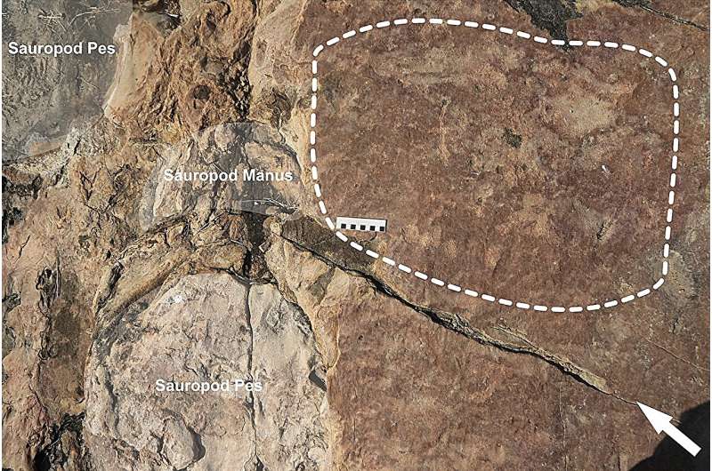 Ancient Art Inspired by Dinosaur Footprints? New Discovery in Brazil