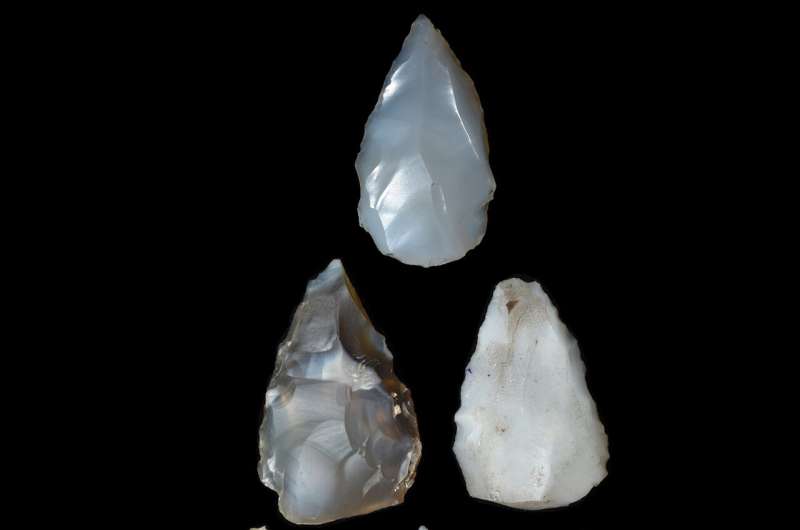 Toba Supereruption: Did It Drive Human Migration from Africa?