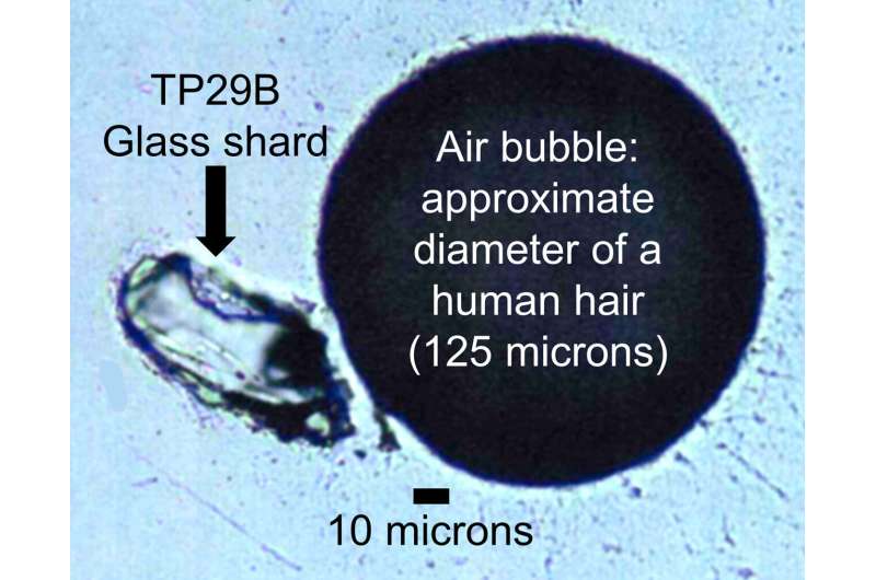 Toba Supereruption: Did It Drive Human Migration from Africa?
