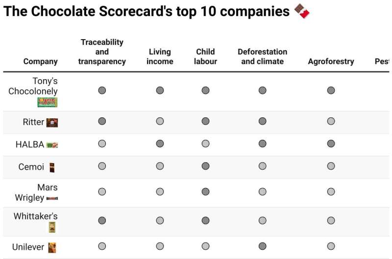 Sustainable Chocolate: Why Ethical Sourcing Matters