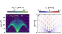 New Toolbox for Studying Spin Dynamics in 1D Quantum Chains