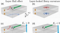 Unveiling the Layer Hall Effect and Hidden Berry Curvature in Antiferromagnetic Insulators
