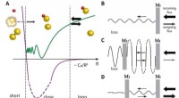 MIT‑Harvard Physicists Use Magnetic Fields to Direct Chemical Reactions via Quantum Interference