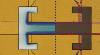 Vacuum Fluctuations Disrupt Topological Protection in Quantum Materials