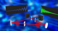 Real-Time THz-Fingerprint Vibrational Spectroscopy: 24,000 Spectra per Second