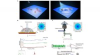 Experimental Confirmation of Long-Range Electrodynamic Intermolecular Forces