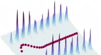 First Experimental Observation of Quantum Boomerang Effect in Disordered Systems