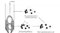 Enhanced Modeling of Flue Gas Desulfurization in Powder-Particle Spouted Beds