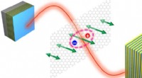 Uncovering Novel Excitonic States in Two‑Dimensional Materials