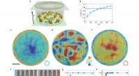 Microparticles That Can Reverse Direction, Advancing Microfluidic Technology