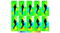 Fish Generate Moving Vortex Pairs to Propel Like Body Waves