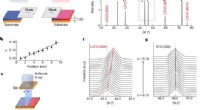 Universal Scaling of Strange-Metal Scattering in Unconventional Superconductors